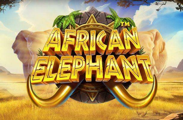 African Elephant von Pragmatic Play